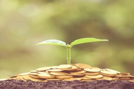 Currency Market for Beginners Guide