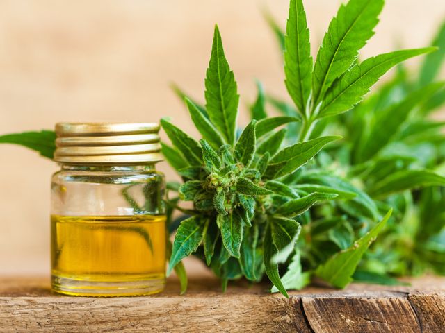 CBD and the Entourage Effect